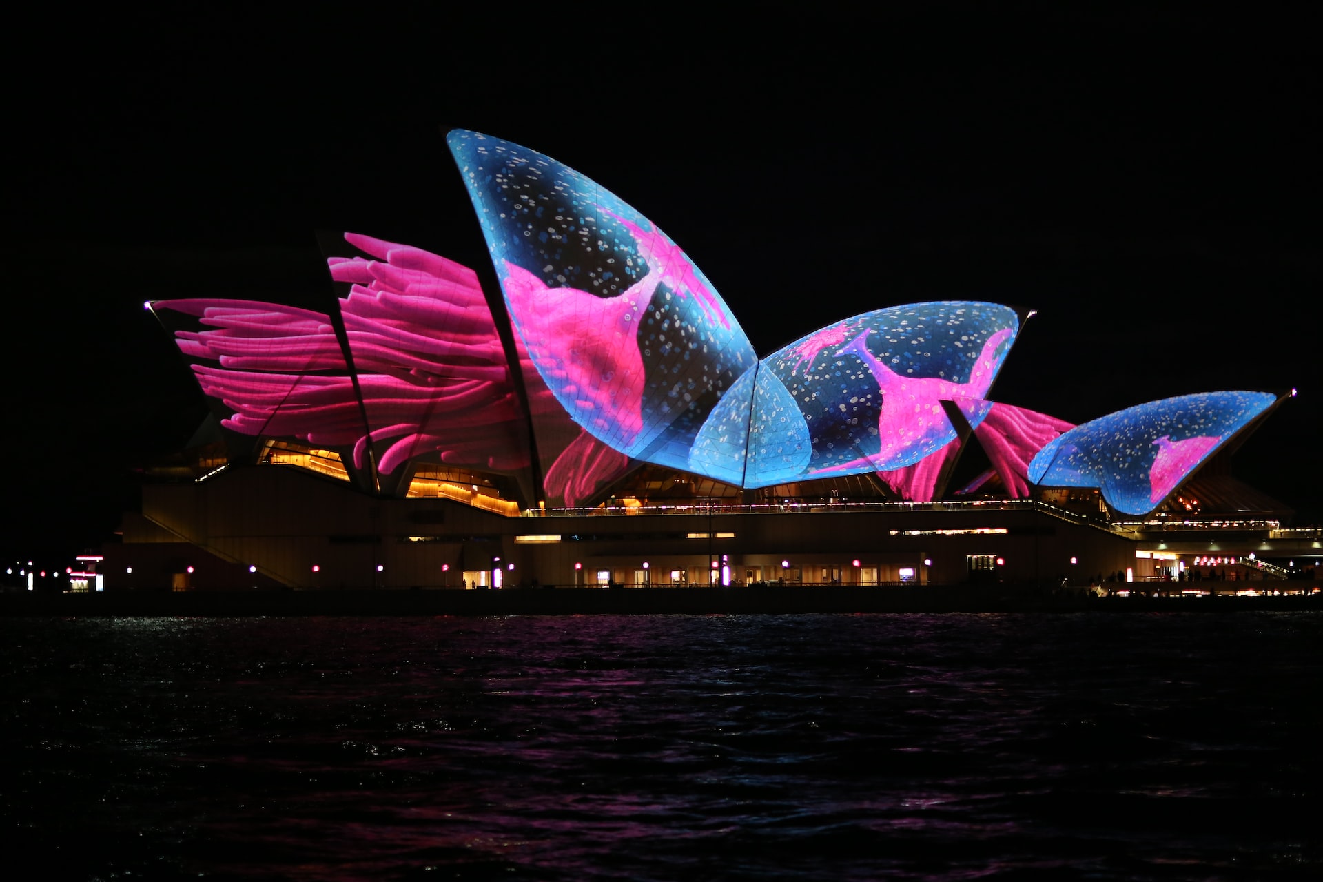 sydney opera house 3